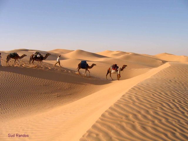 Atrisahara : le guide de voyager dans le désert Maroc et algérie