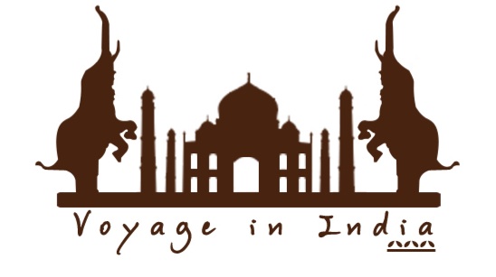 Voyage in India Tour opérateur francophone en Inde