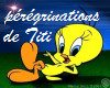 Les pérégrinations de Titi