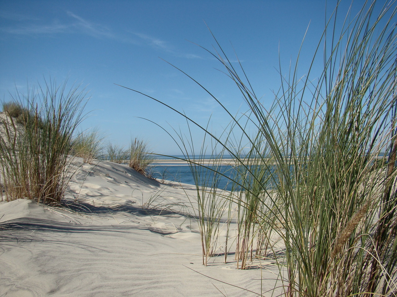 Arcachon et tous les avis sur son Bassin