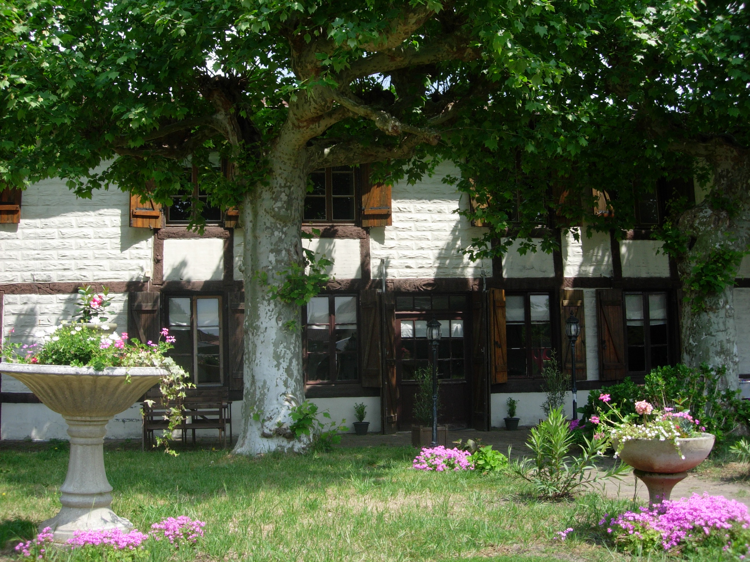 Gîte et Chambres d’hôtes proches de l’océan, des lacs et de la forêt landaise – Entre mer et Pins