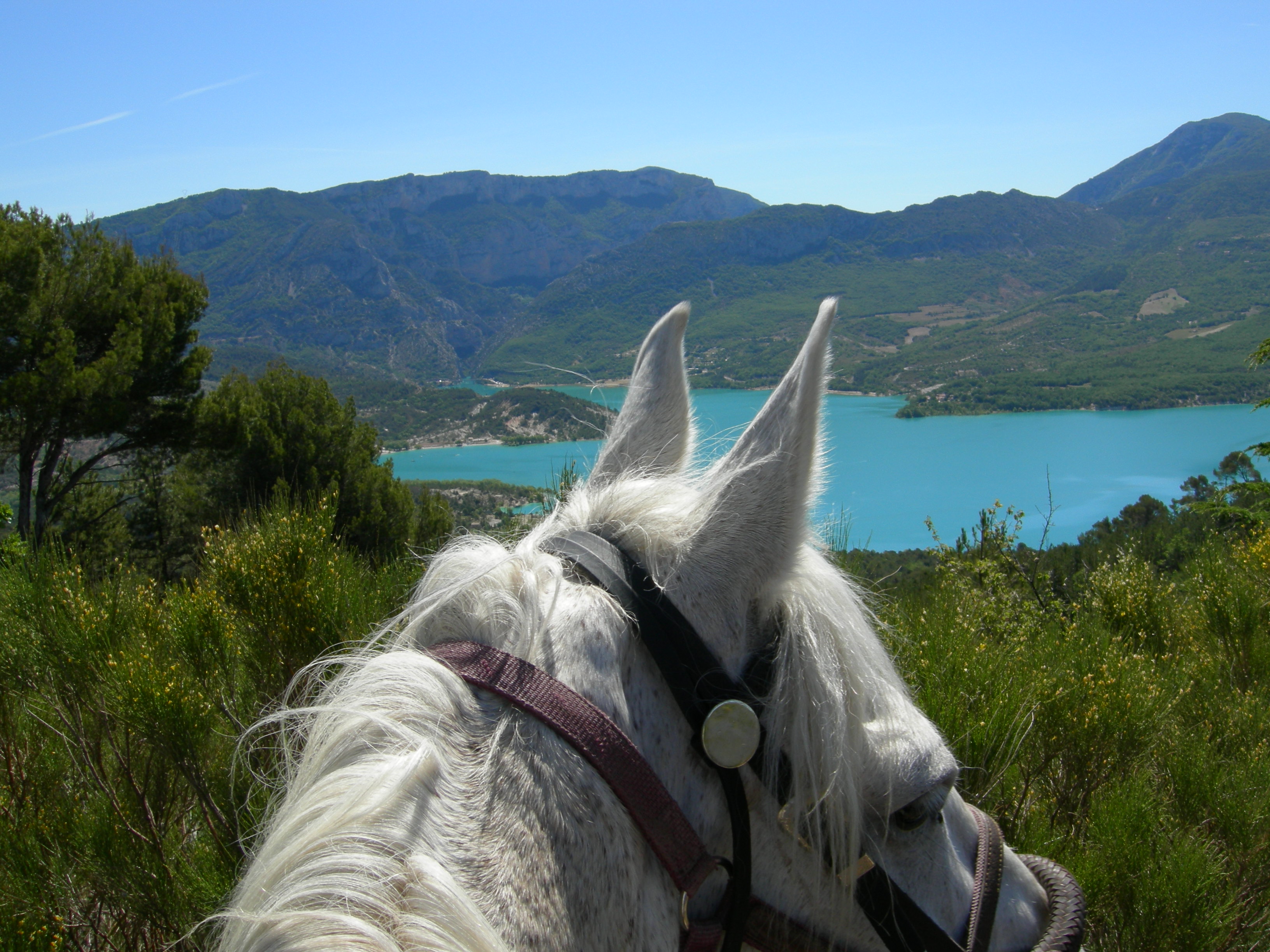 GITE EQUESTRE PROCHE VERDON ET LAC DE ST CROIX